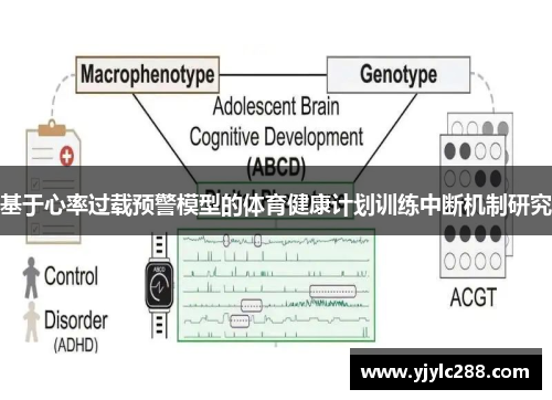 基于心率过载预警模型的体育健康计划训练中断机制研究