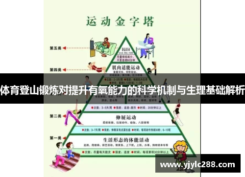 体育登山锻炼对提升有氧能力的科学机制与生理基础解析